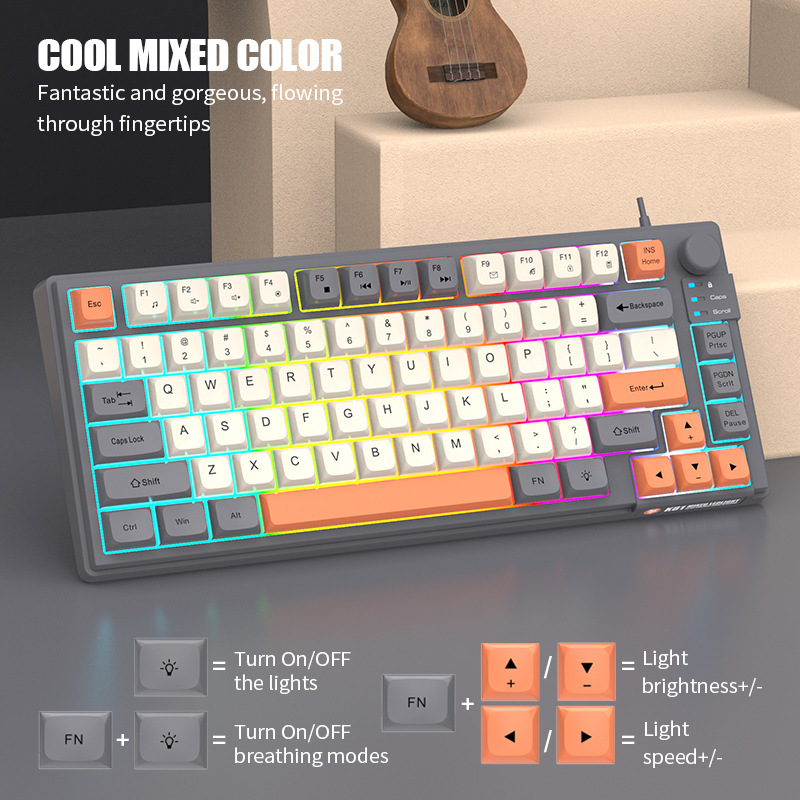 Tastatur K81 Spielen-Tastatur 81 Tasten 80 % Layout Spanisch Russisch Koreanisch Arabisch Tastatur USB-Kabel RGB-Licht Lautstärkeregler Ergonomie