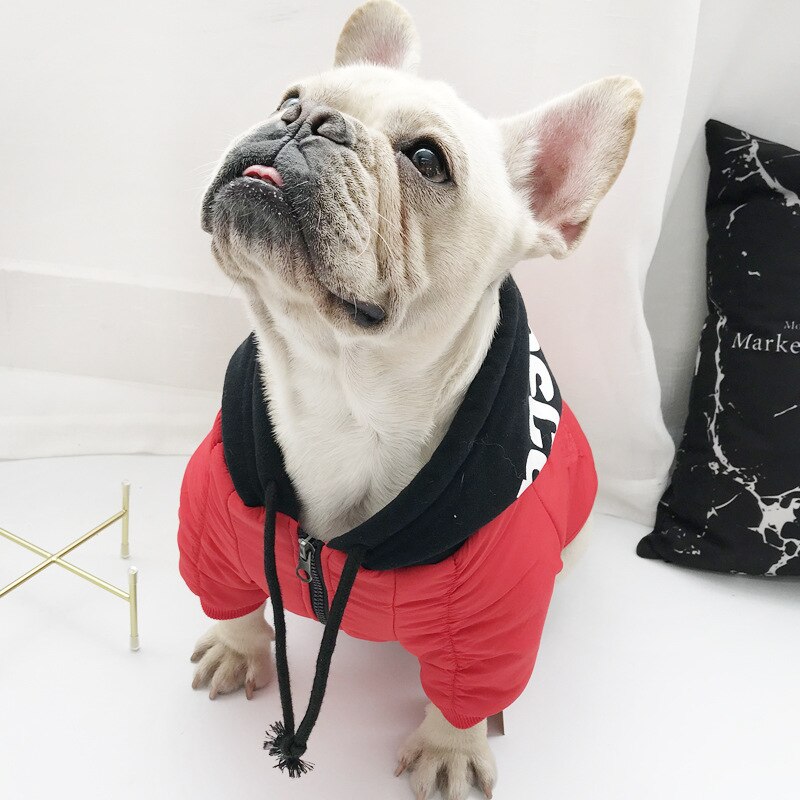 Hundjacka vinterhundkläder för fransk bulldog varm bomullshund vinterkappa hoodie för chihuahua ropa para perro