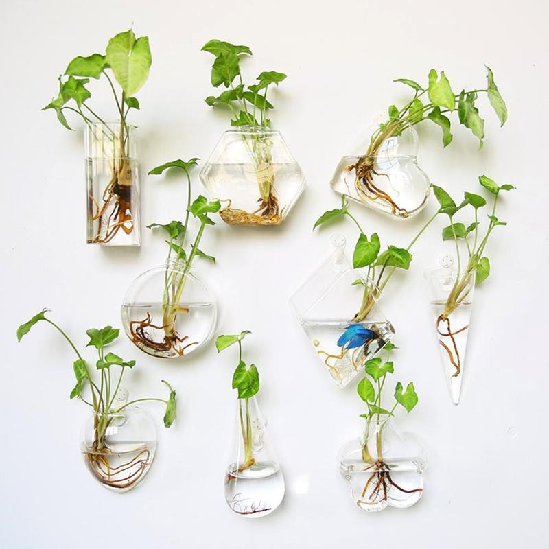8 Shapes DIY Clear Hanging Glass Vase Flower Plants Terrarium Wall Fish Tank Aquarium Container Homw Decor