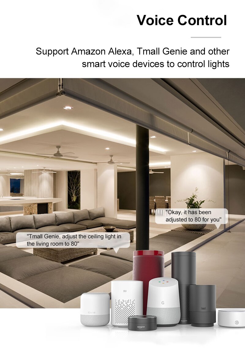Smart WiFi Light Controller - 24 Key Dual Load RGB - Voice Control Compatible