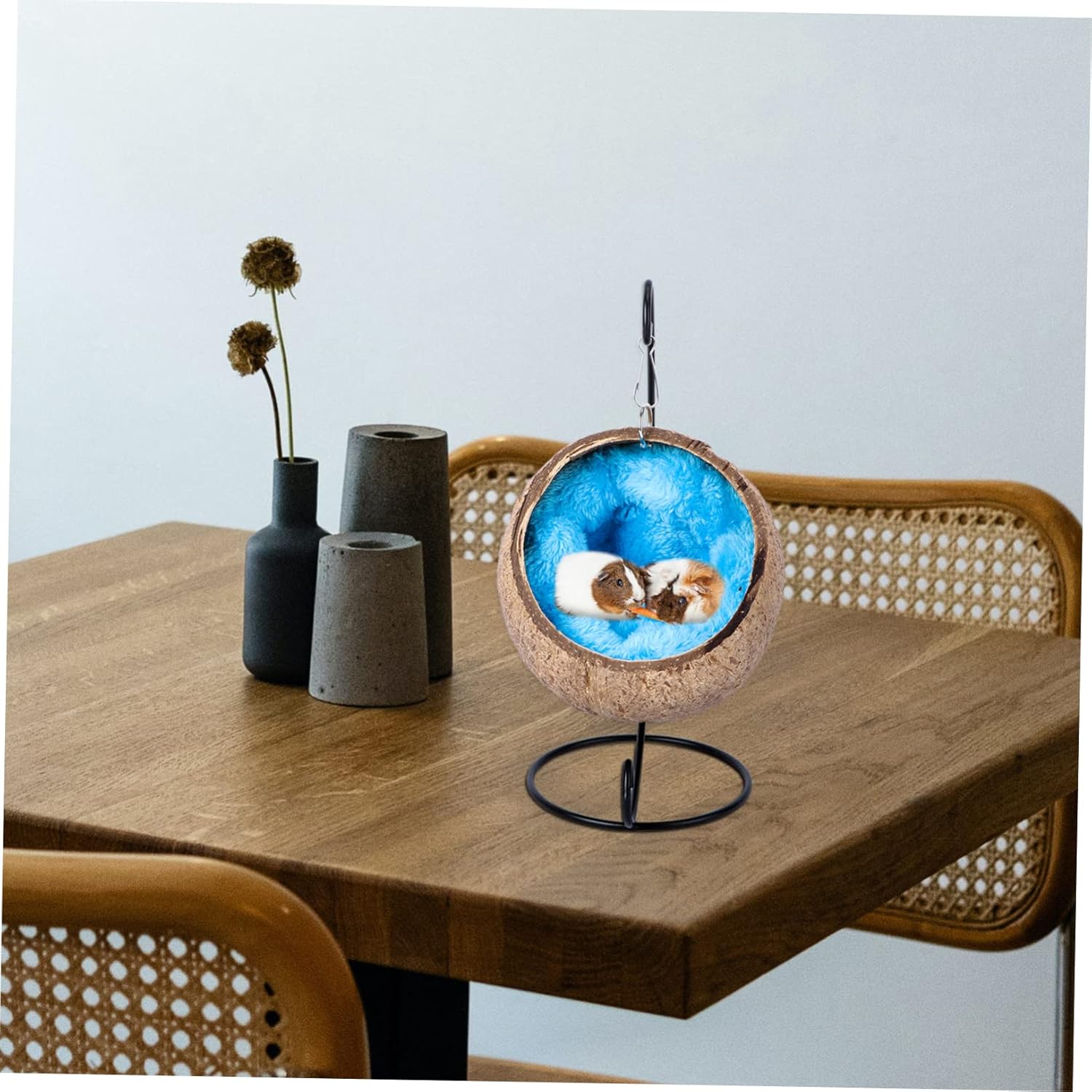 Hamaca colgante para hámster, cama nido de cáscara de coco para mascotas con soporte, jaula, accesorios para mascotas pequeñas, oso dorado, planeador de azúcar, ardilla