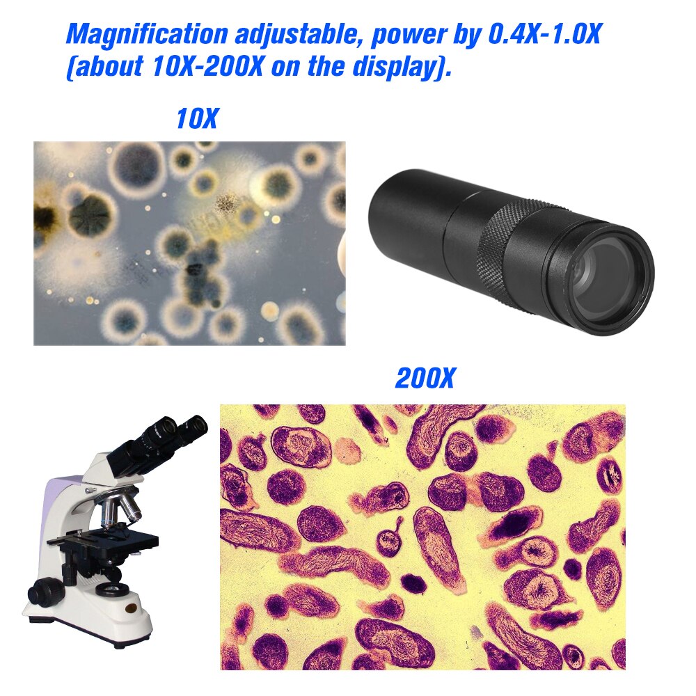 CCD Industry Microscope Camera C-mount Lens 10X-200X Camera Adjustable Zoom Eyepiece Magnifier Industrial Lens for LAB PCB