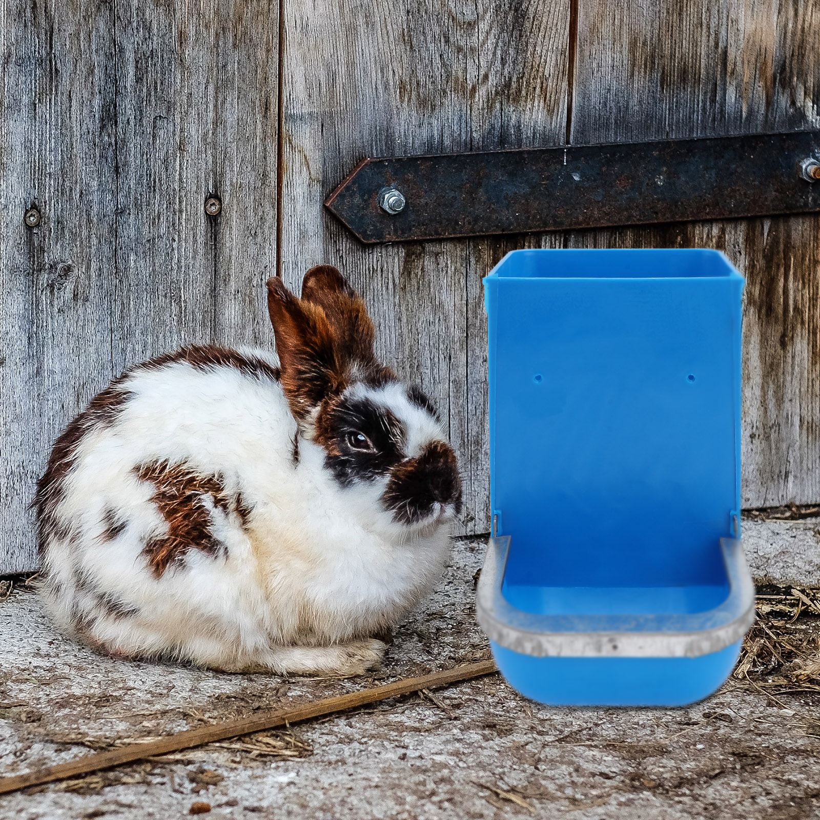 3pcs Rabbit Food Bowl Large Capacity Feeder Poultry Feed Bucket Chicken Feeder Random Color