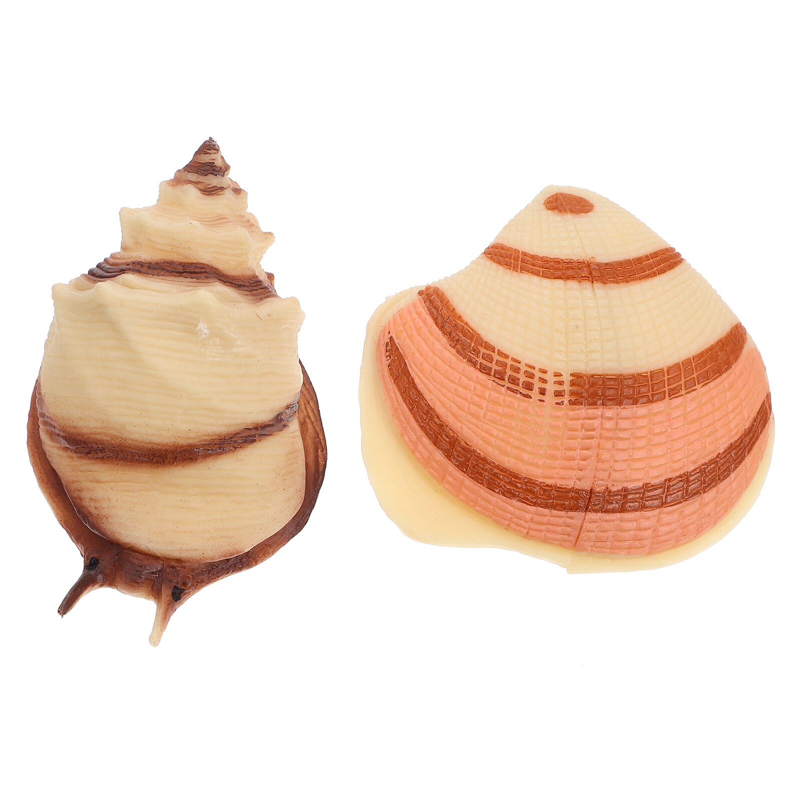 2Pcs Sea Creature Model Sea Conch Model Realistic Shell Adornment for Kids: Default Title