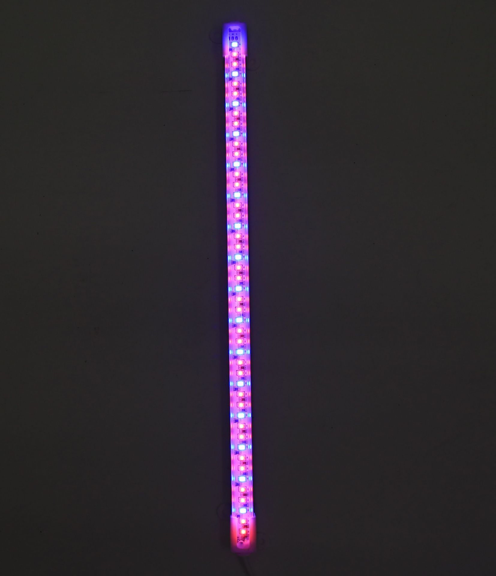 Indoor Groeien Licht Phyto Lamp Voor Planten Volledige Spectrum Phytolamp Led Bar Lamp Voor Planten Hoge Lichtopbrengst Led Grow licht: Single purple / VS