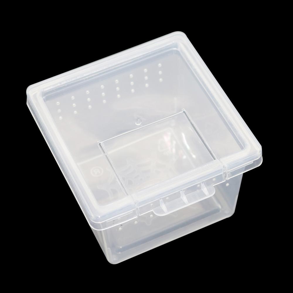 Caja de plástico transparente para criar reptiles, contenedor para cultivar insectos, araña Escorpión, 10 unidades