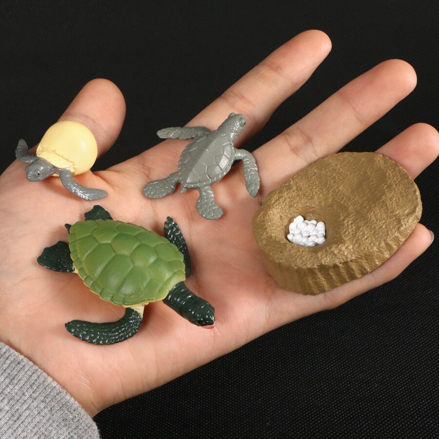 Sjove dyr natur vækstcyklus insekter voksende model biologi tidlig læring pædagogisk legetøj til børn: Havskildpadde 4 stk sæt