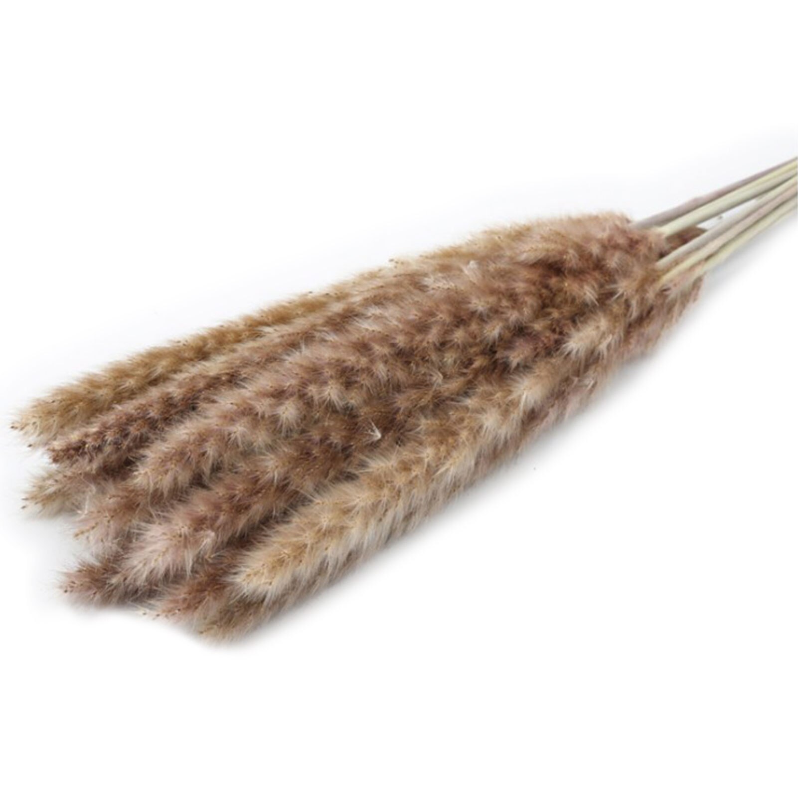 Roseaux séchés naturels de , 15 pièces, pour décoration de mariage, maison, DIY bricolage, 100% naturel, durée de conservation de plus d'un an