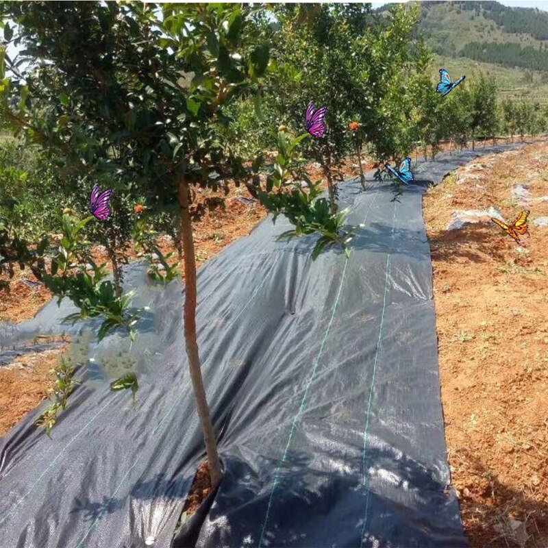 Panno agricolo anti erba tessuto di plastica nero per pacciamatura spessore giardino diserbo tessuto di controllo panno di diserbo degradabile
