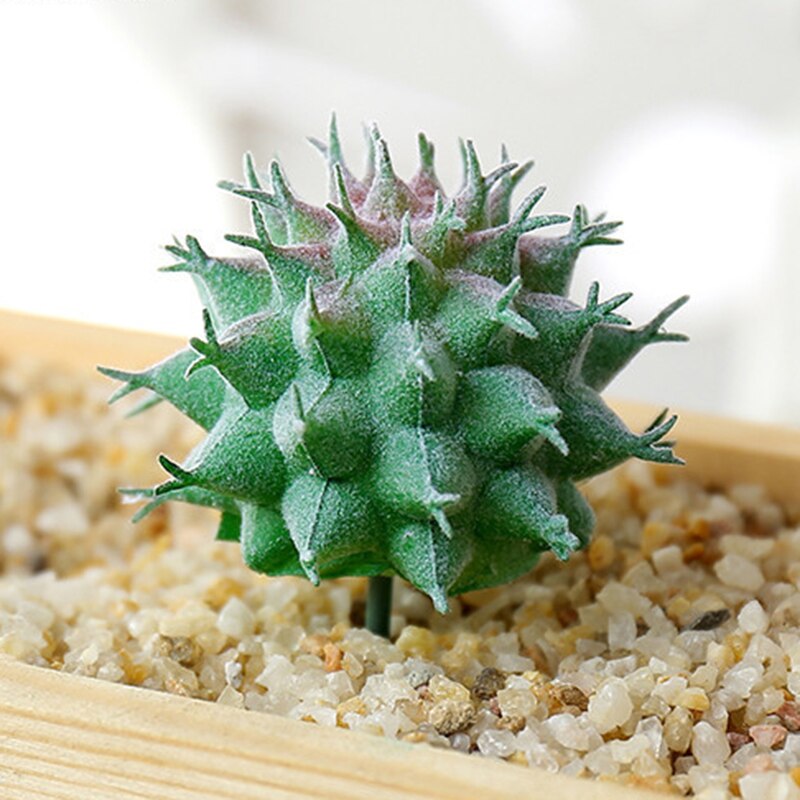 1Pc Groen Paars Rood Massaal Kunstmatige Vetplanten Planten Tuin Decoratie Bloemstuk Badkamer Accessoires Plant