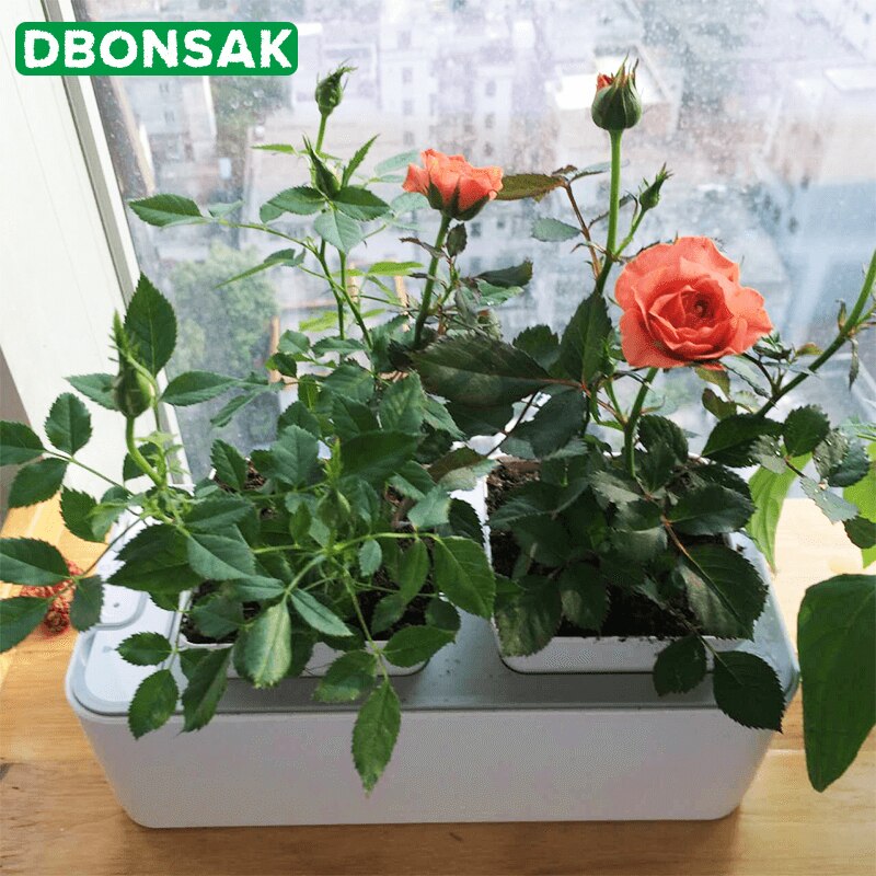 Hydroponisk odlingsutrustning jordfri odling planteringslåda intelligent kontroll blomkruka desktop grönsaksodlingslåda