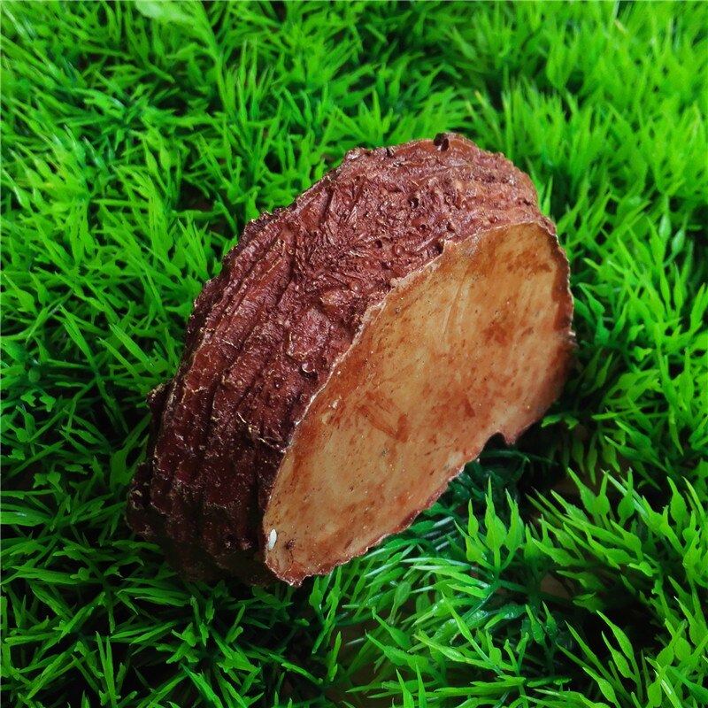 Reptile Feeder Crawler Bowl Basin Water Fountain Turtle Tortoise Scorpion pider Lizards Crabs Aquatic Pet Supplies Nice 1Pc