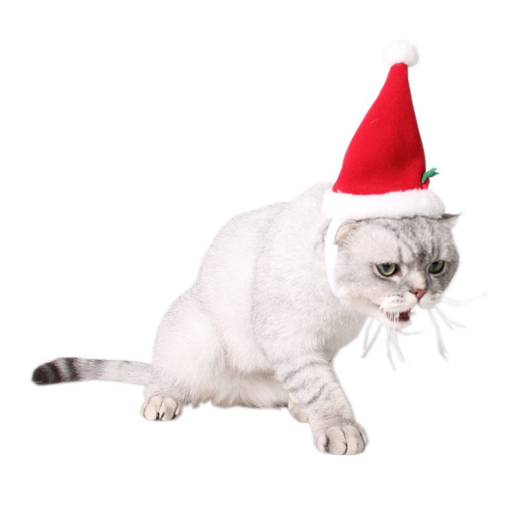 PEDOMUS katten Kerstmuts en sjaalset Kerstkostuumhoed voor kleine honden