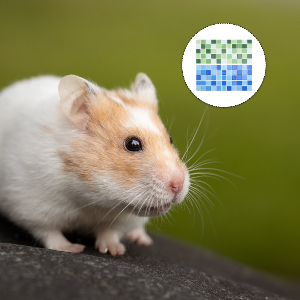 2pcs Summer Sleeping Mat Hamster Cooling Pad Cooling Cushion (Blue, Green)