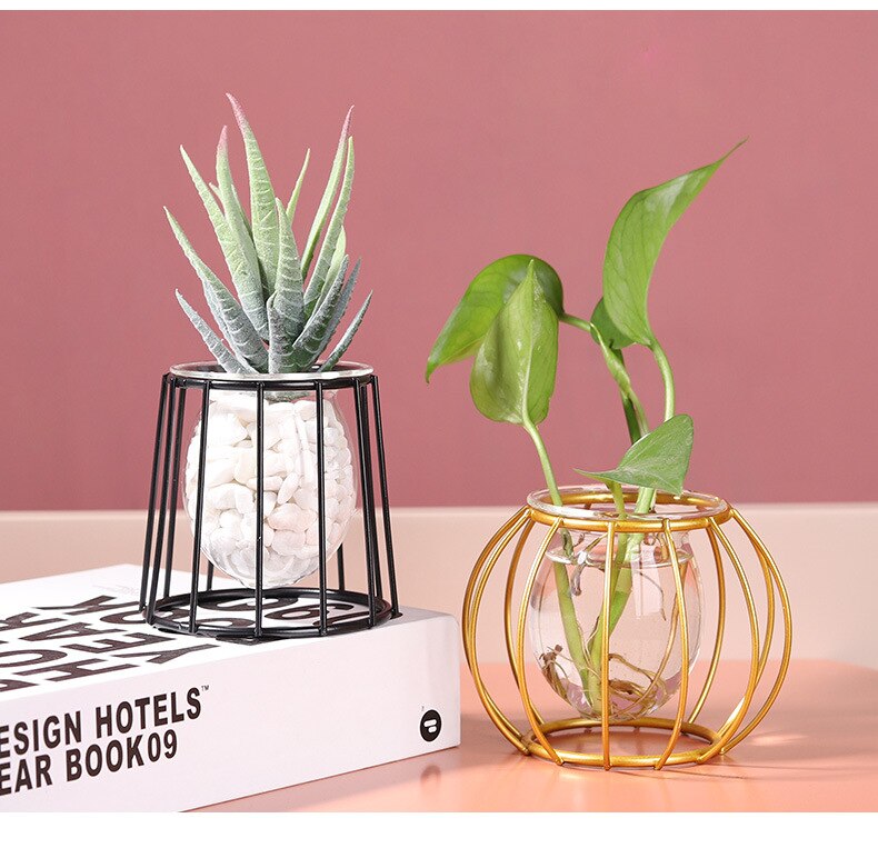 Soportes de Metal para plantas de aire, contenedores de arte del hierro de estilo moderno para cultivo de flores y agua: H