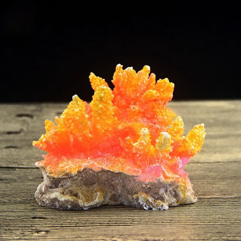 Beautiful view of Low Maintenance Coral Fish Tank Parts