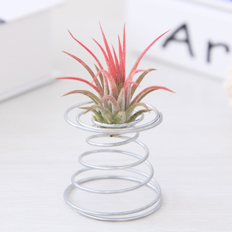 Luftplante fjedertråd bordplade tillandsia holder miniature havedekoration
