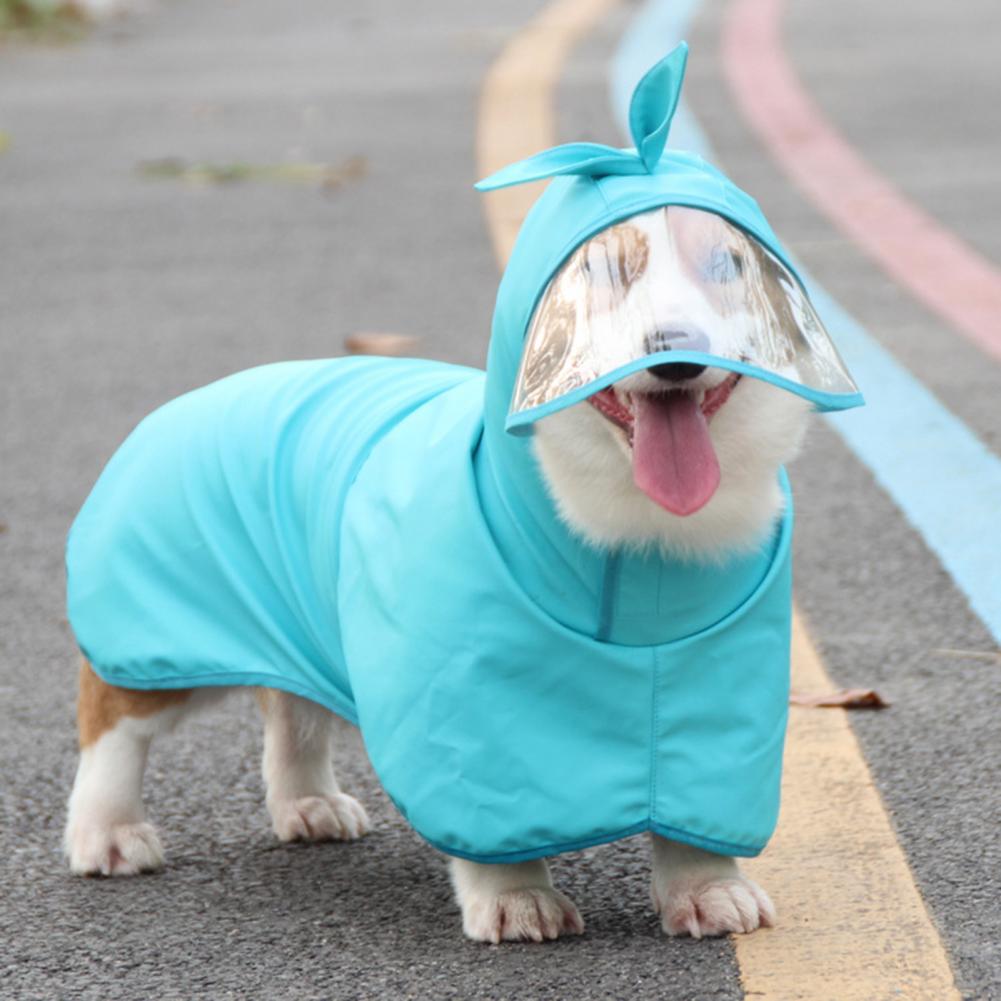 Huisdier Regenjas Transparante Rand Waterdicht Kunstleer Kleine Hond Outdoor Kleding Blauwe Hond Jas Voor Corgi Teddy
