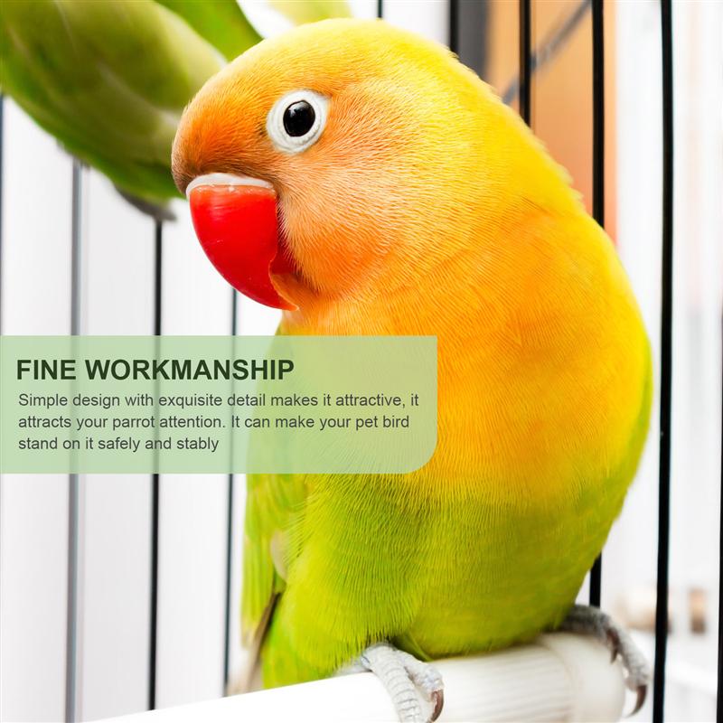 Soportes para loros de pie de aves, accesorios para jaulas de pájaros, 10 Uds.