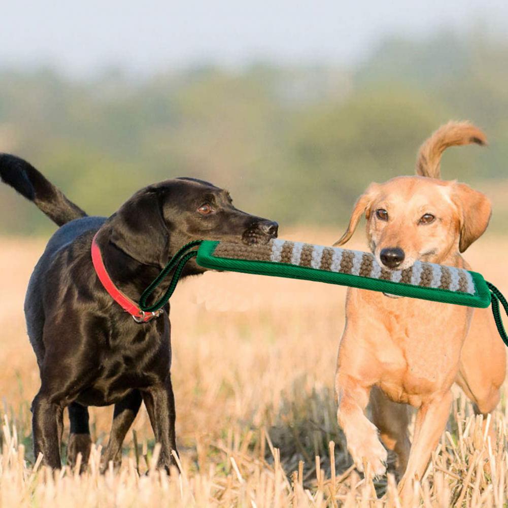 Jouet mordant pour chien, bâton robuste, motif rayé, soins dentaires, entraînement, oreiller