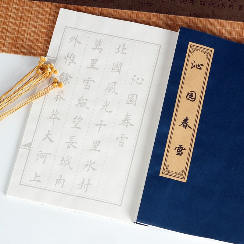 Chinese Calligraphy Copybook Small Regular Script Copying Book Running Script Scriptures Poem Copybook Calligraphy Practice: P