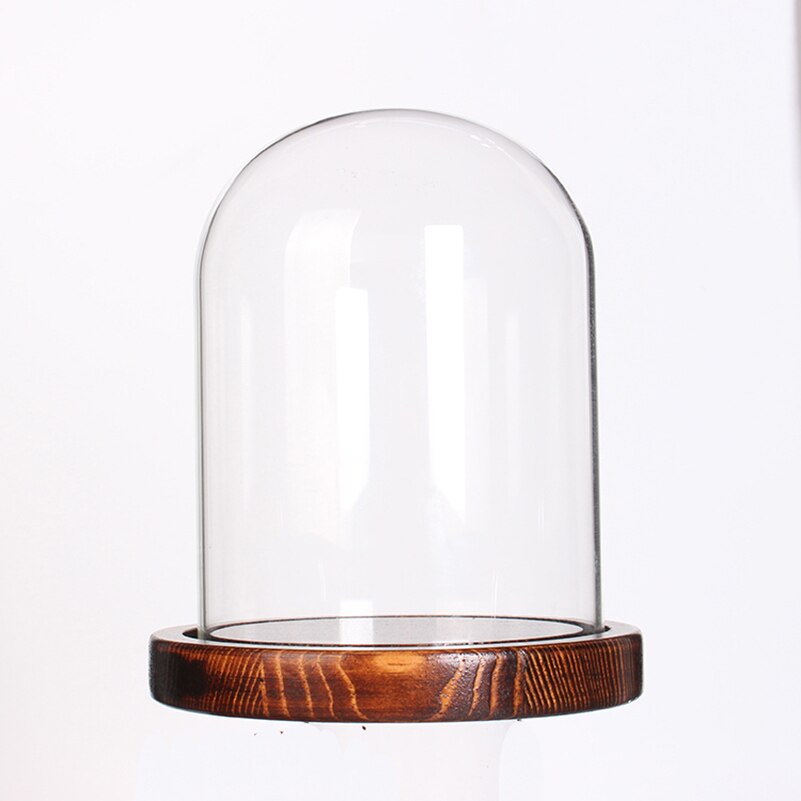 Glass Dome display case for Preserved Flowers bell jar with Wood Base Home wedding dia 10cmor 3.9inch height 12 cm or 4.7inch