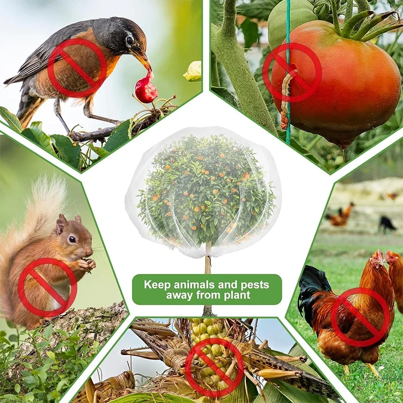 Large Fruits Tree Netting Cover with Zipper and Drawstring Garden Insect Netting Transparent Bird Plant Barrier Mesh Screen