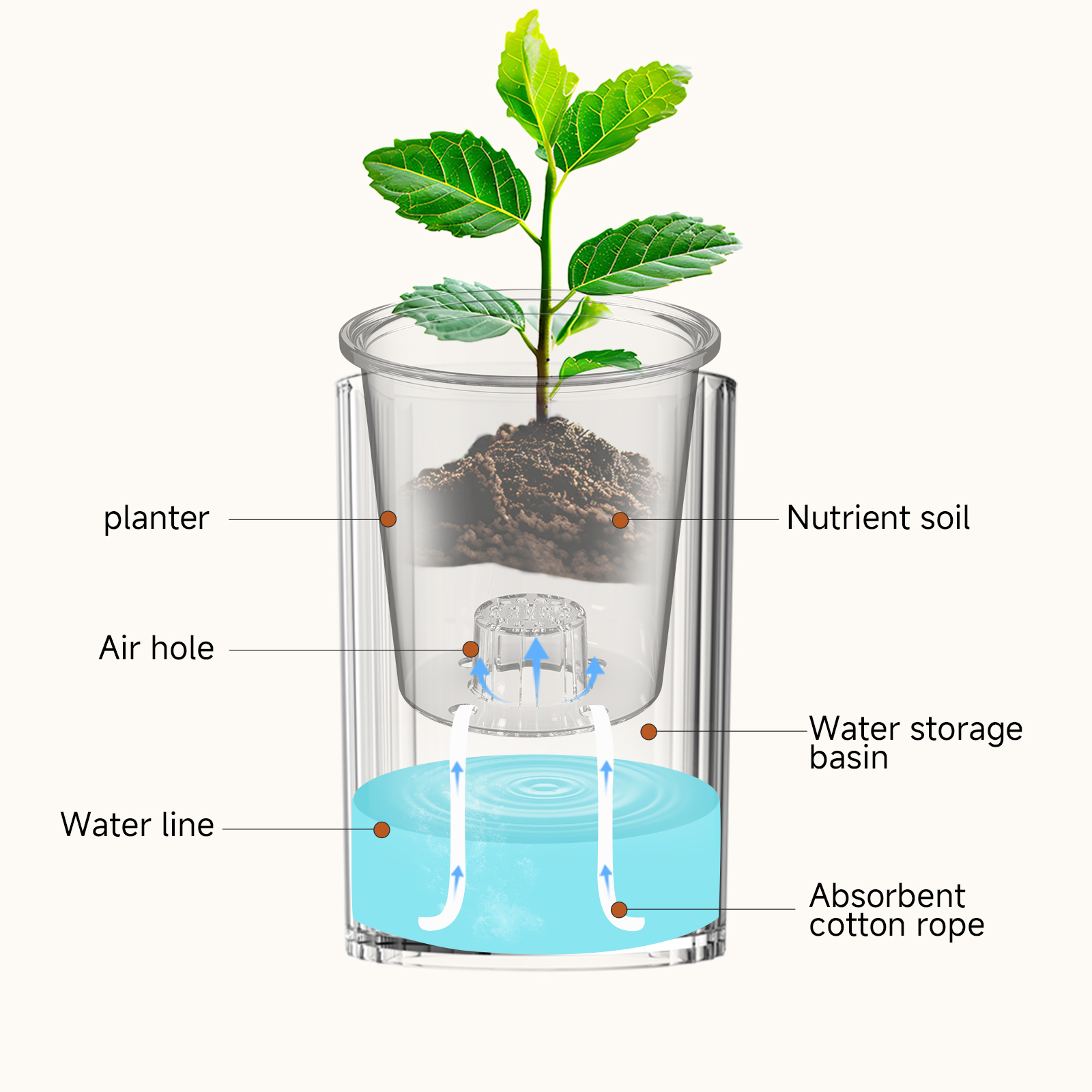 1pc hydroponiske blomsterpotter i bohemsk stil, automatisk vannabsorberende sylindervase for sukkulenter og grønne planter, gjennomsiktig plast