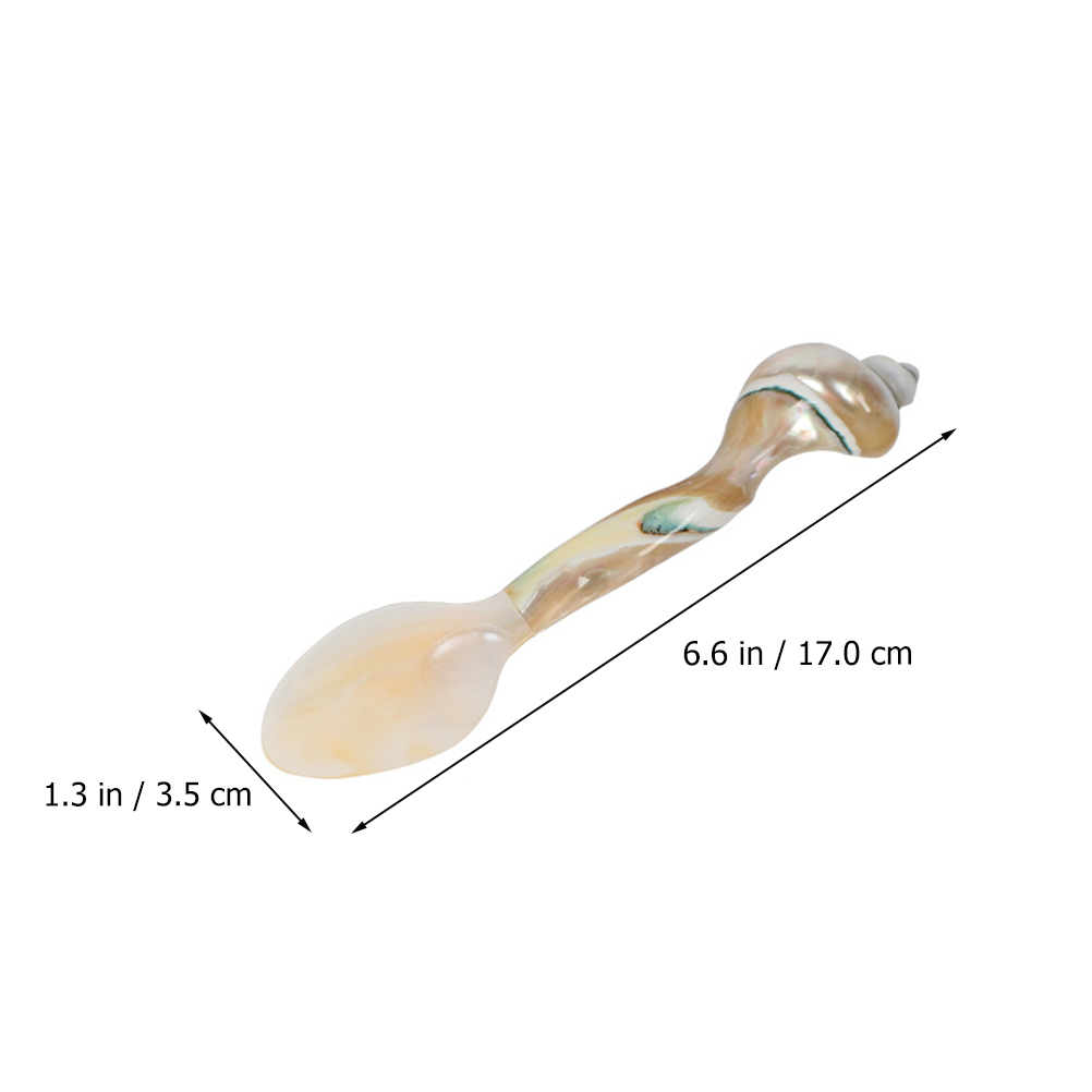 Cuillère de cuisine délicate, cuillère d&#39;assaisonnement Unique en forme de conque naturelle