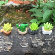 4/5 sztuk mini drzewo doniczkowe kaktus mięsiste roślin domek dla lalek dekoracja zewnętrzna mikro
