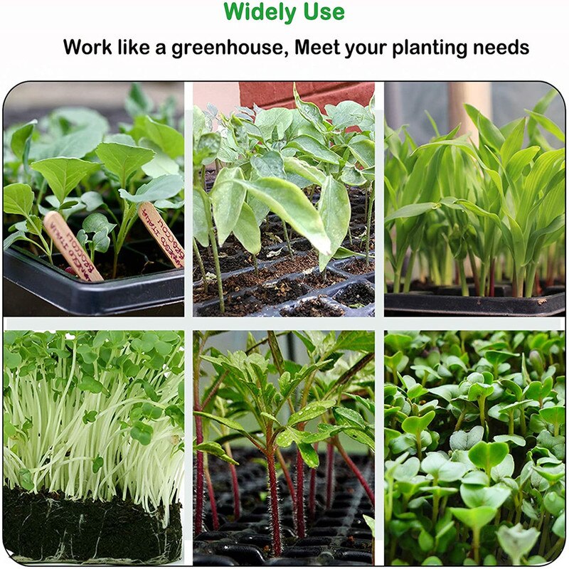 3PCS 12/24Cells Growth Trays with Cover Mini Propagator Seedling Tray for Seed Starting Growing Plants Gardening Nursery Pots