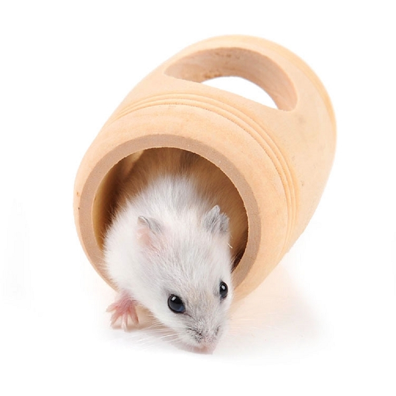 4 typer kæledyr legetøj hamster legetøj tilbehør, skridsikker rille, små dyr egern ørkenrotter mus dværge rotter, hvile og leg