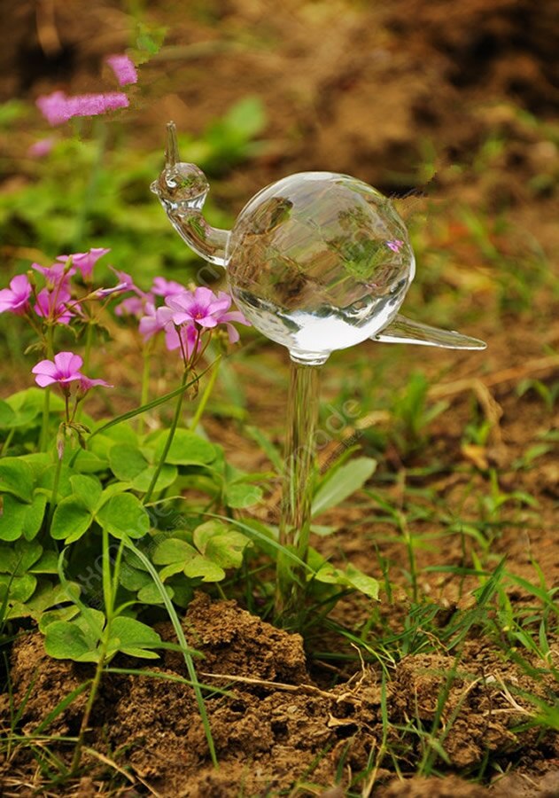 Klart glas selvvandende kugler plante blomster små automatiske vanding løg til pottehave udendørs indendørs: 2