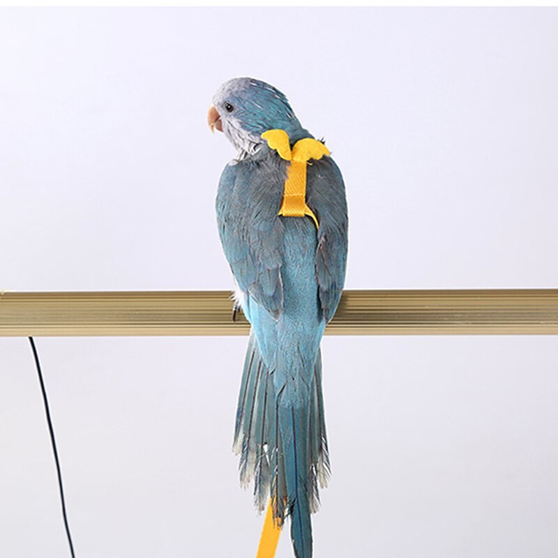 Arnés de Collar para loros y pájaros, correa ajustable para loros, pájaros, entrenamiento, tracción, antimordedura, para volar al aire libre