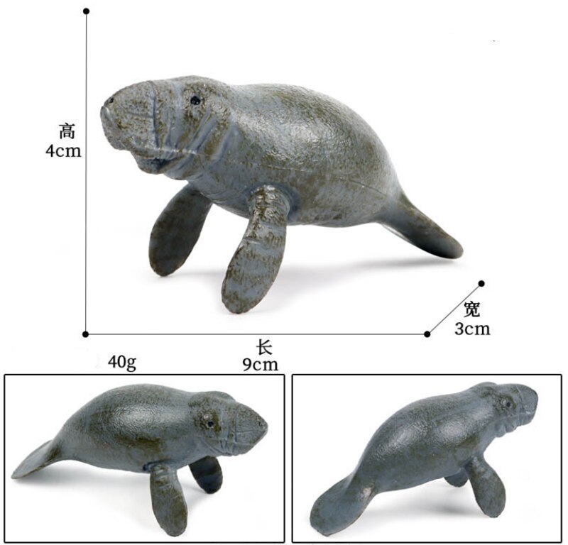 Simulatie Oceaan Dier Seal Zeeleeuw Walrus Manatee Model Cijfers Cognitie Educatief Collectie Speelgoed Voor Kinderen: M-421