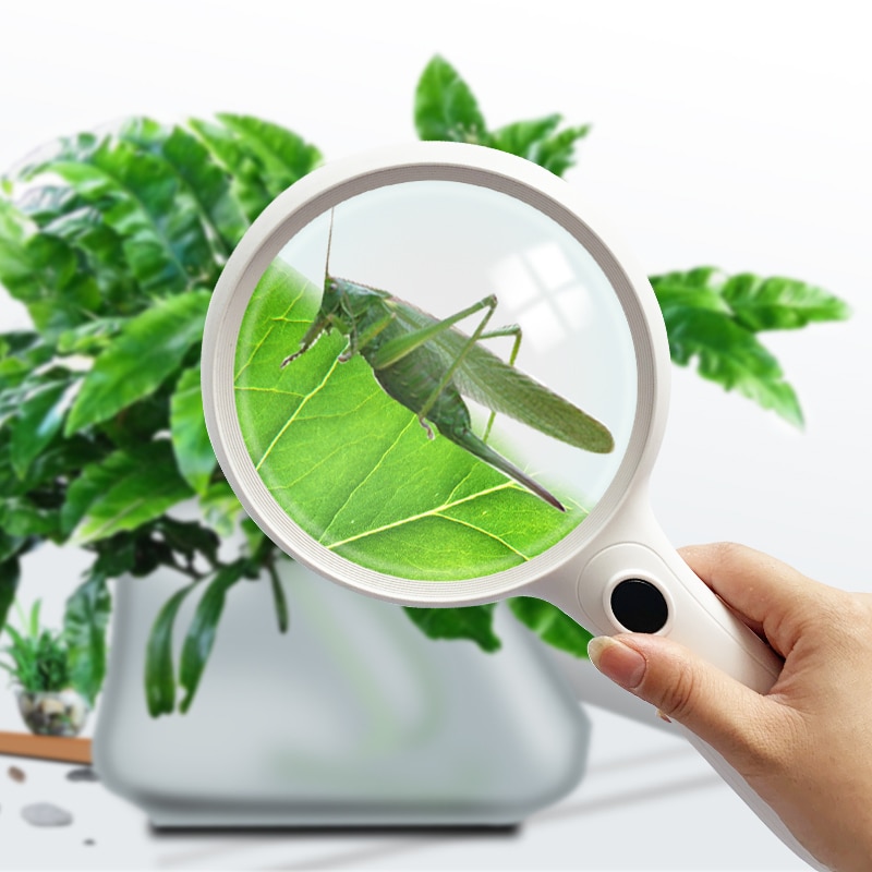 10X Magnifying Glass with Light for Reading Premium Handheld Magnifier with Light for Reading, Exploring, Inspection