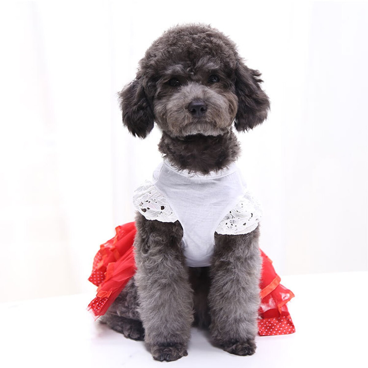 Vestido con falda y tutú para perros y gatos pequeños, ropa para cachorros,