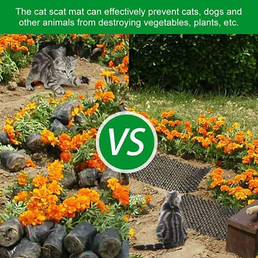 Esteras de plástico antiplagas para gatos y jardín, tira de plástico, tapón de excavación de red, Red de jardín, proveedores de puntas de plástico