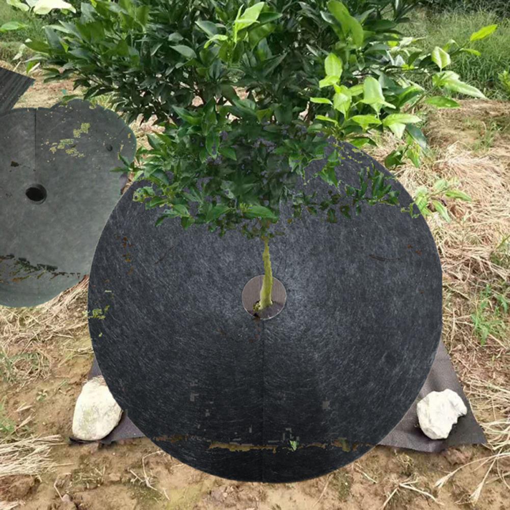 10Pcs Black Biodegradable Non-Woven Vegetable Garden Plants Grow Films Protection Cover Greenhouse Perforated Mulch