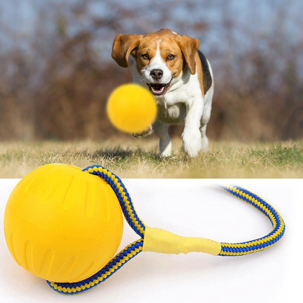 Kæledyr hund træningskugle sjov bidebestandigt tyggelegetøj med reb