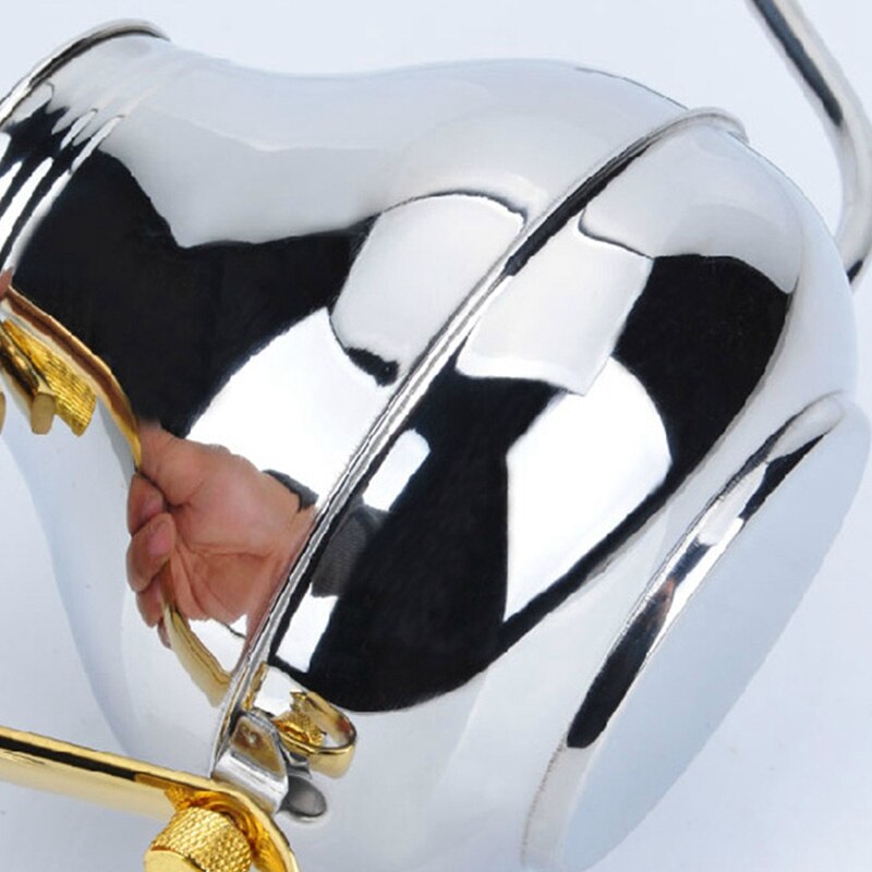 Fine Mouth Gooseneck Coffee Pot Long Spout Pour over Drip Coffee Kettle Stainless Steel DIY Coffee Maker Teapot