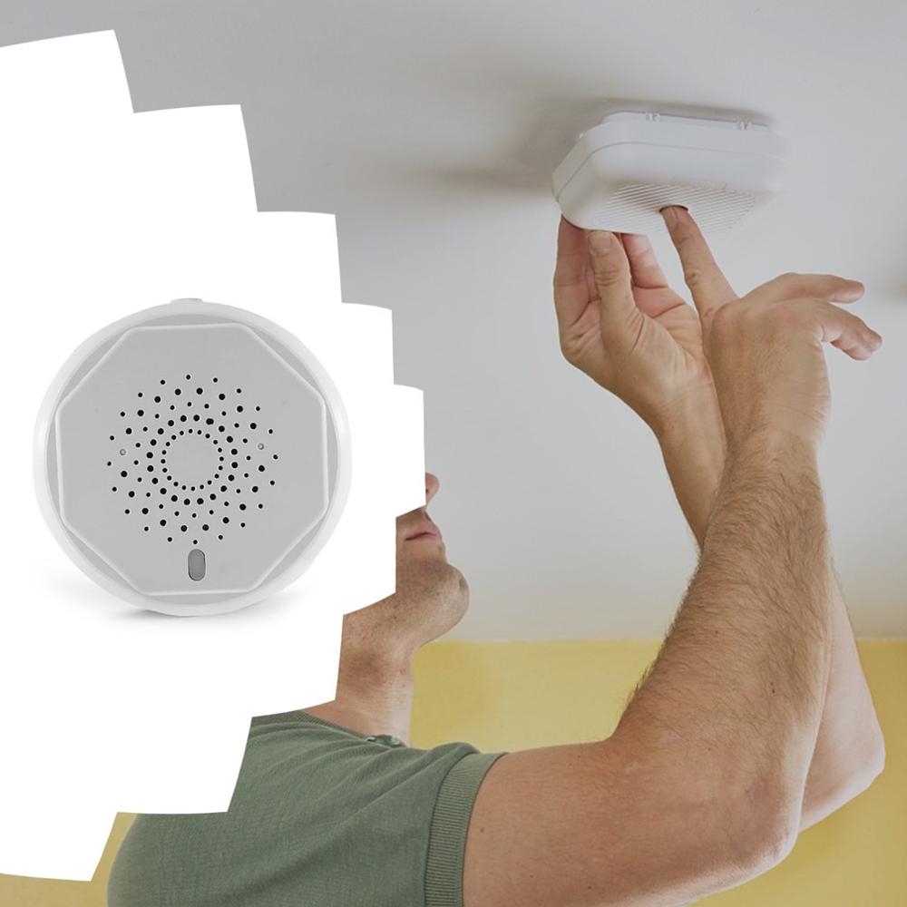 Smart Gas Sensor Monitor Alarm Fire Protection With Remote Control Stable APP Transmission For Family Dormitory