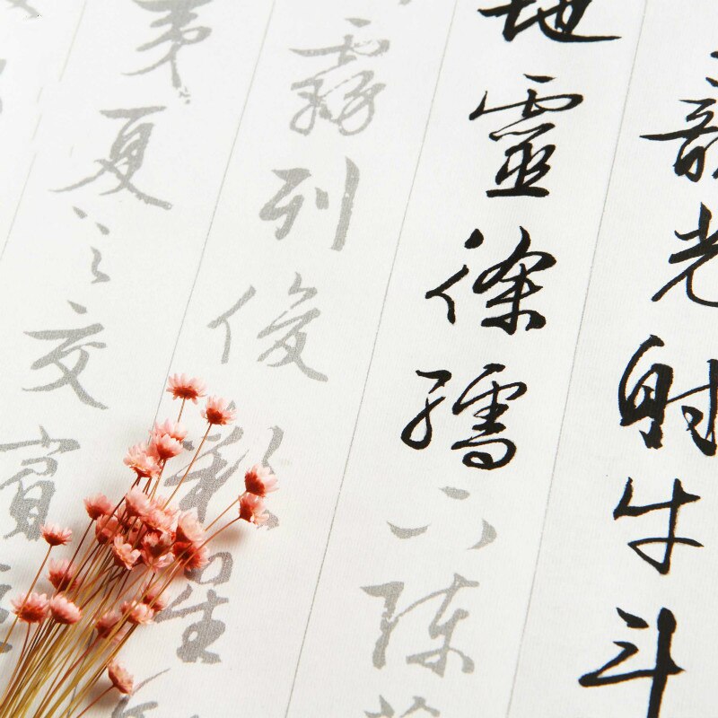 Chinese Wen Zhengming Brush Pen Calligraphy Copybook Rolling Rice Paper Copybook Adult Running Script Calligraphy Copybooks