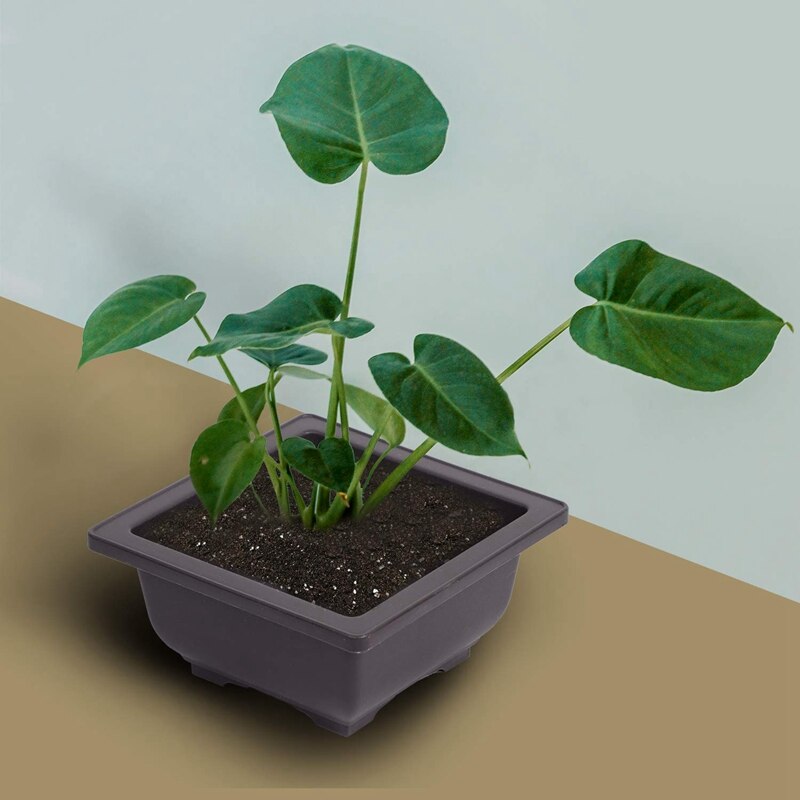 15 st 4.7- tums blomkruka, fyrkantig plastbonsai-träningskruka, blommig saftig blomkrukbehållare, för trädgård, interiör, hem