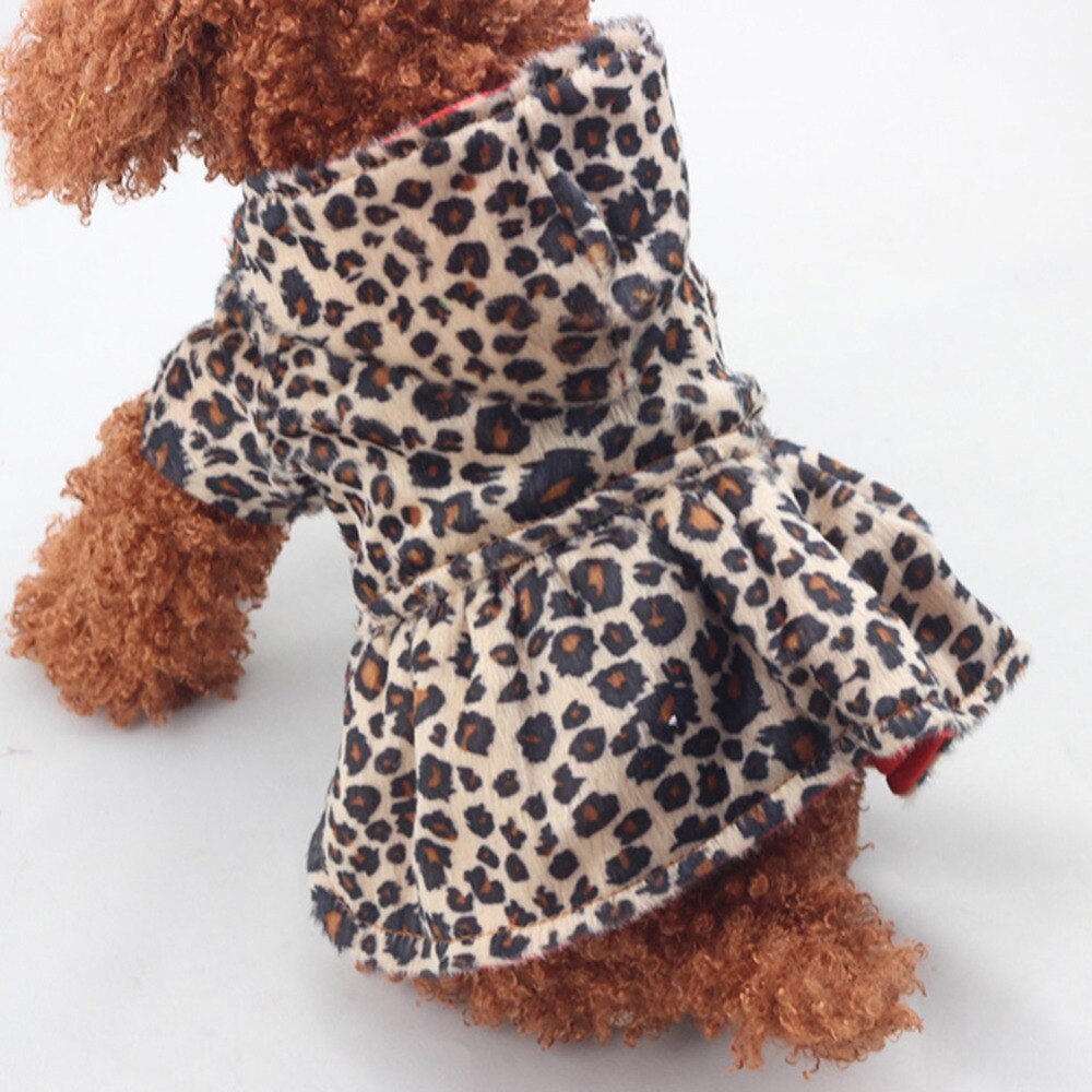 Søde hunde leopard kostume vinter hund tøj hvalp bomuld hættetrøje tøj varme hund frakker & amp; jakker chihuahua kæledyr produkt