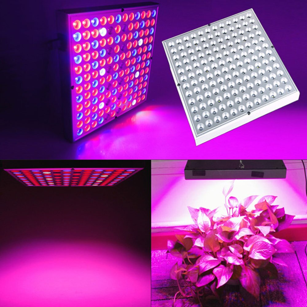 Led 45W Praktische Led Plant Plein Grow Light Succulent Volledige Spectrum Lamp Kasplant Light Lamp (45W uk Plug): Size 4