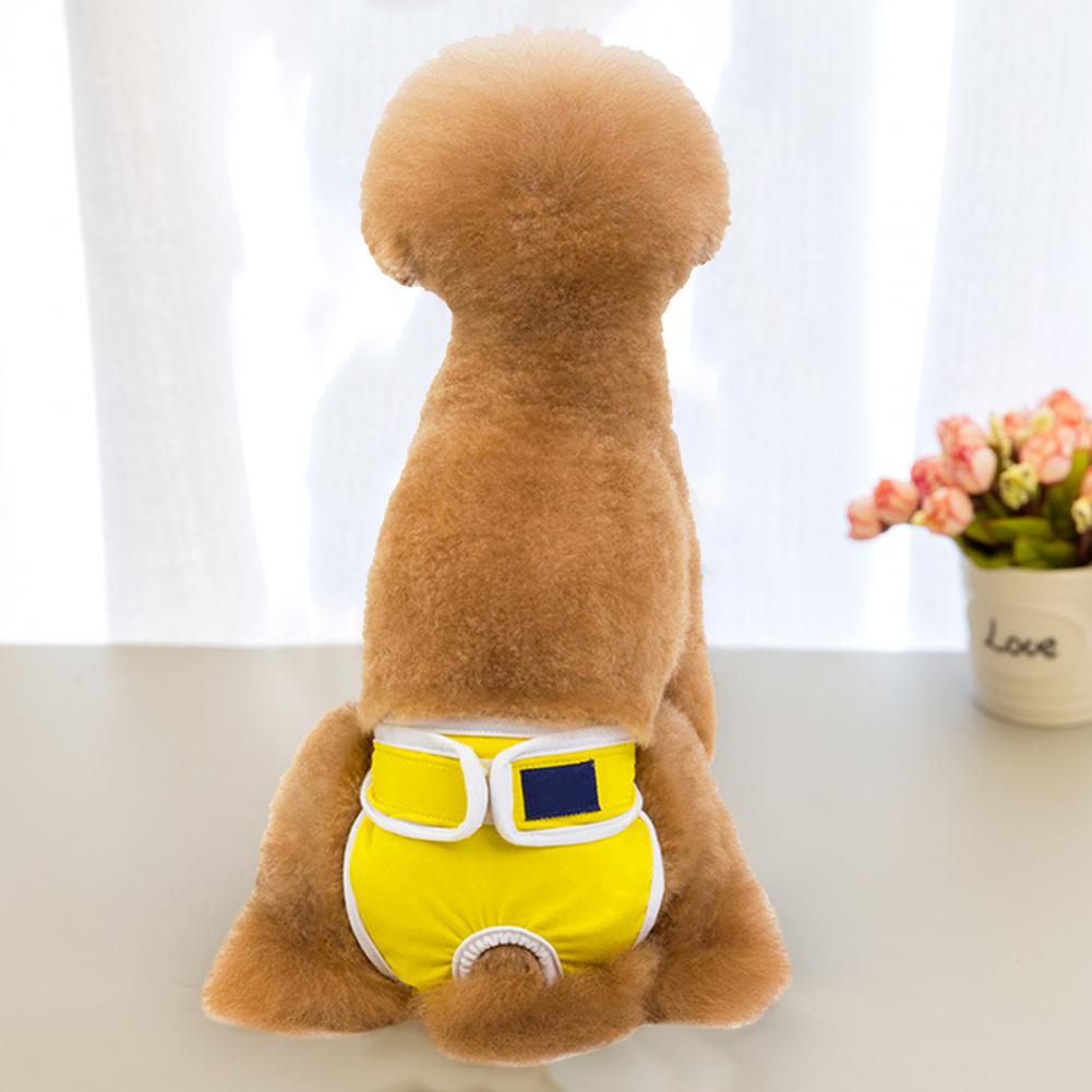 Mooie Hond Menstruatie Ondergoed Ademend Fysiologische Slipje Pet Supply