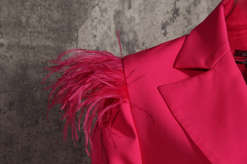 [EAM] vestido de temperamento Irregular de plumas plisadas para mujer, vestido holgado de manga larga con muescas, tendencia a la , primavera otoño 1DA242
