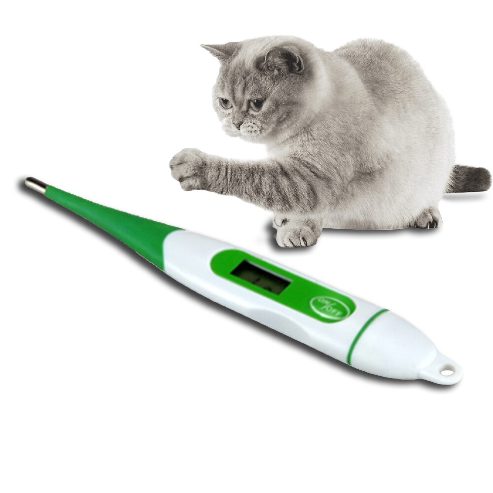 Digitale Thermometer Voor Honden Katten Varken Dieren Elektronische Thermometer Professionele Medische Hulpmiddelen Veterinaire Benodigdheden