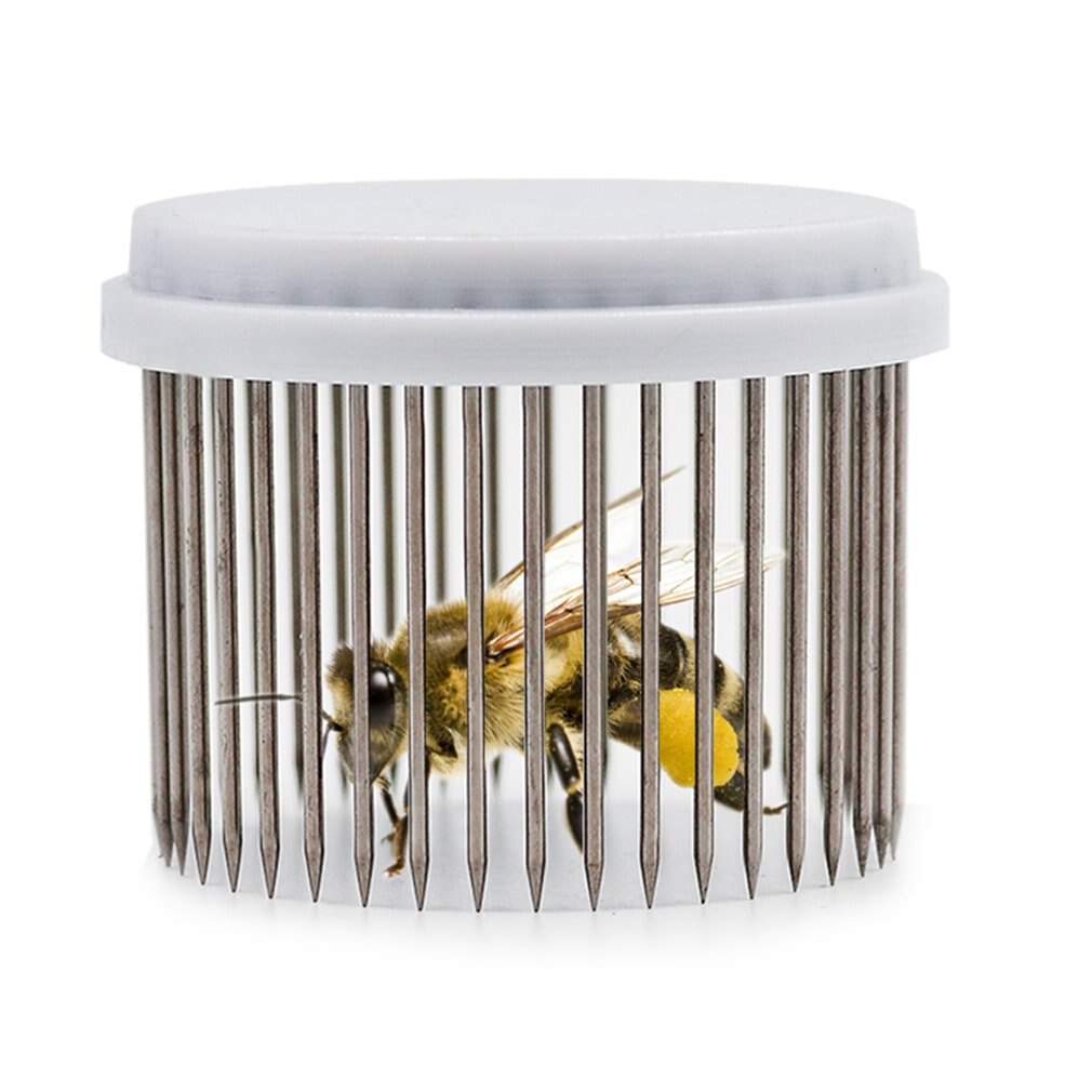 Beekeeping Tools Pin Button Queen Bee Cage Beekeeper Catcher Equipment Easy To Use Durable Cage Tool